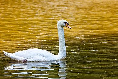 《光与影：33号远征队》全新幕后特辑